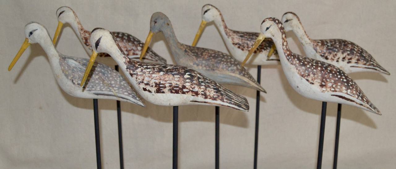 Rig of Shore Bird Decoys 4