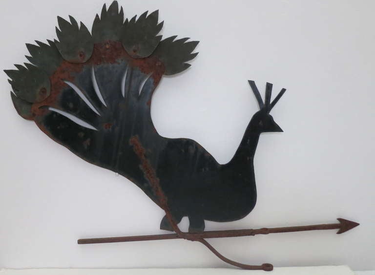Peacock silhouette weather vane with riveted copper additions, mounted on wrought iron, peacock is 19