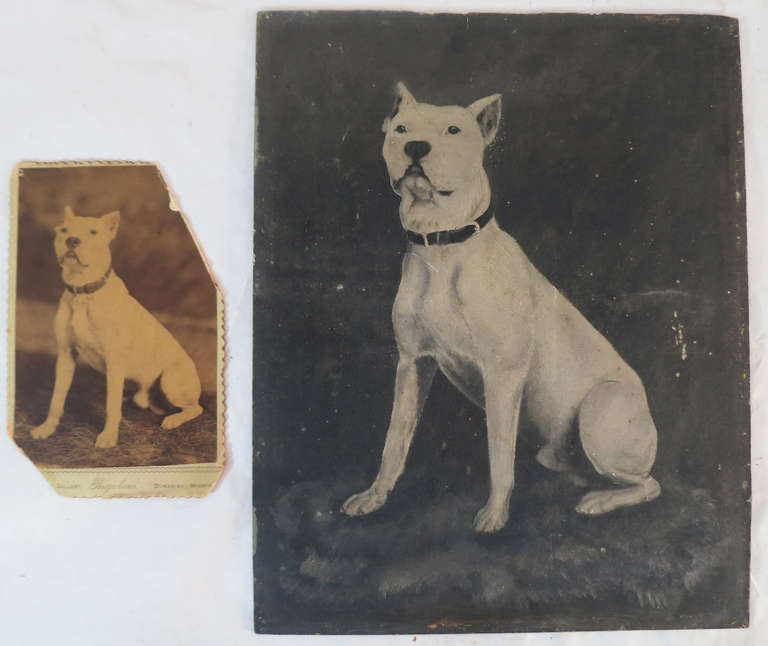 19th Century Photograph and Painting of a Dog