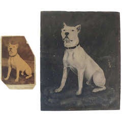 19th Century Photograph and Painting of a Dog