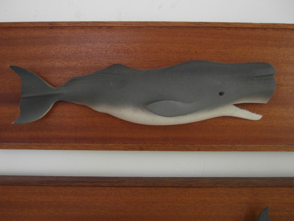 Pair of carved whale plaques For Sale at 1stdibs