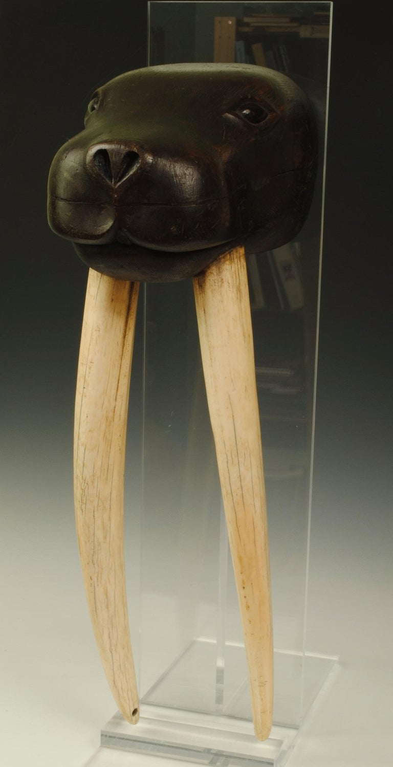 A wonderful marine art carved wood figure of a life size walrus with original tusks.