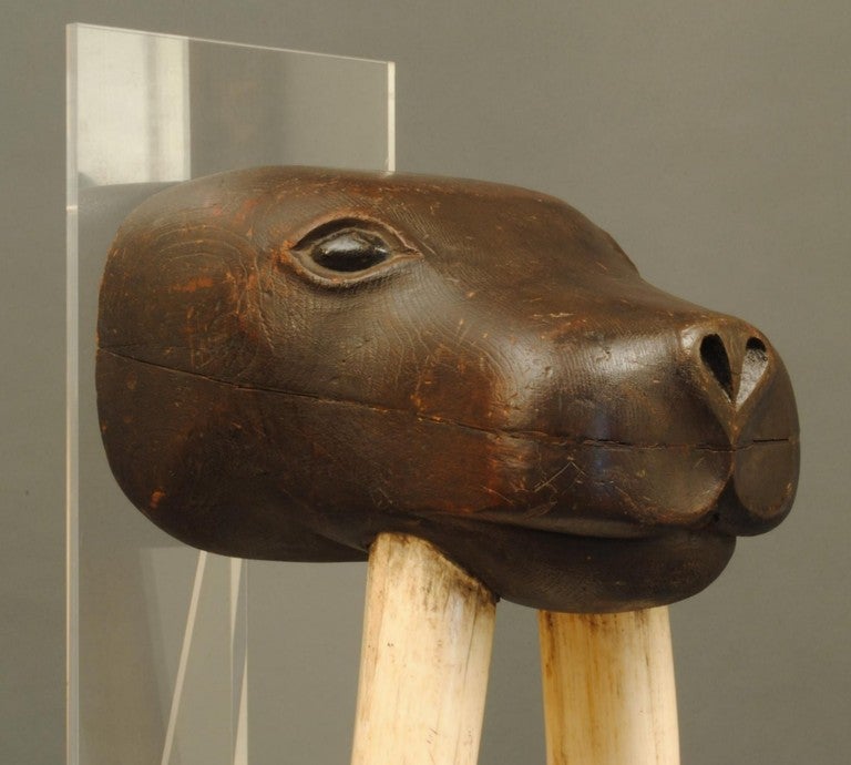 English Maritime Art Figure of a Walrus with Real Tusks 