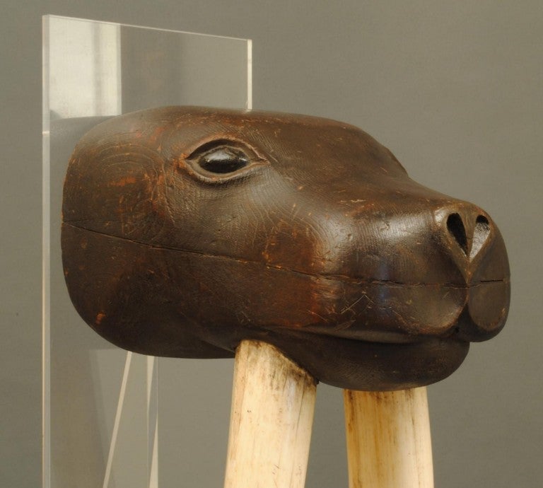 English Maritime Art Figure of a Walrus with Real Tusks