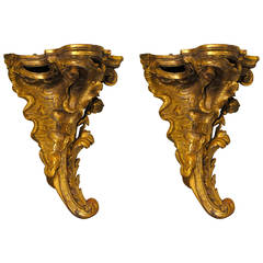 Paar geschnitzte Wandhalterungen aus Giltwood