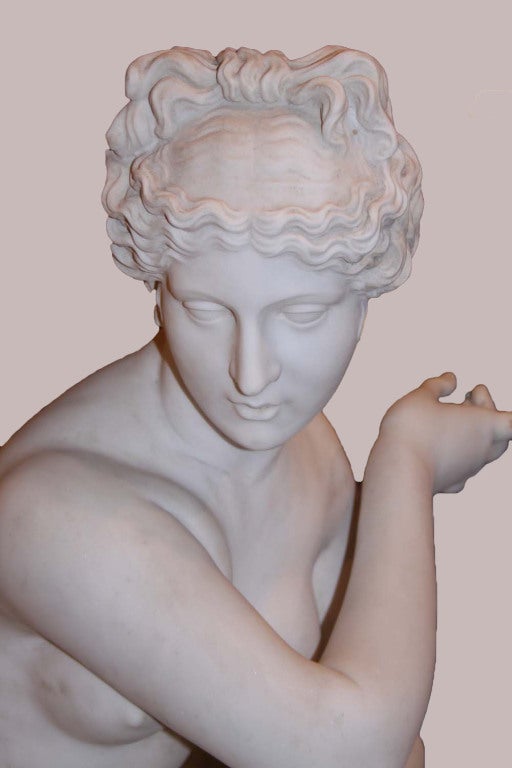 A 19th Century Figure of Aphrodite or Venus 1
