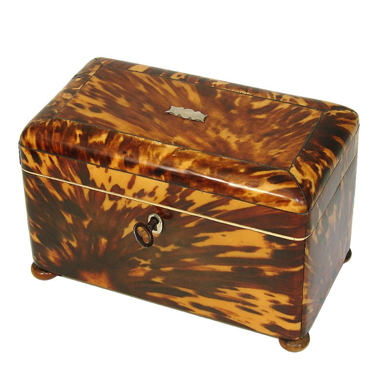 Large Antique Victorian Tortoise Shell 7" Double Well Tea Caddy For Sale