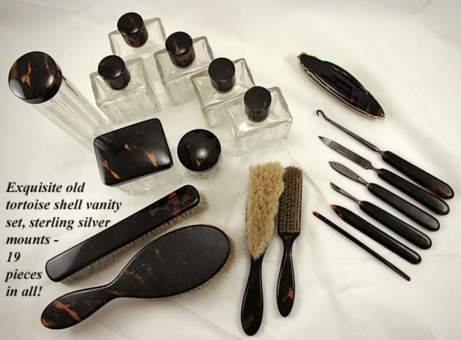 19 Piece Antique Tortoise Shell .950 French Sterling Vanity Set For Sale 7