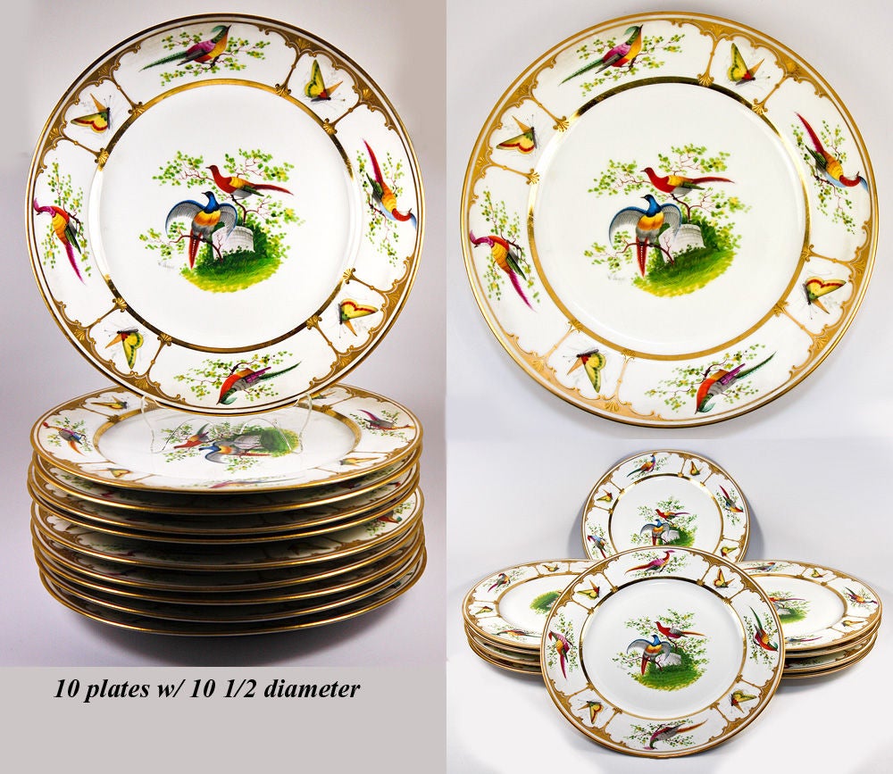19th Century Antique Raised Gold Dresden Dinner Plate Set: 10, Exotic Birds