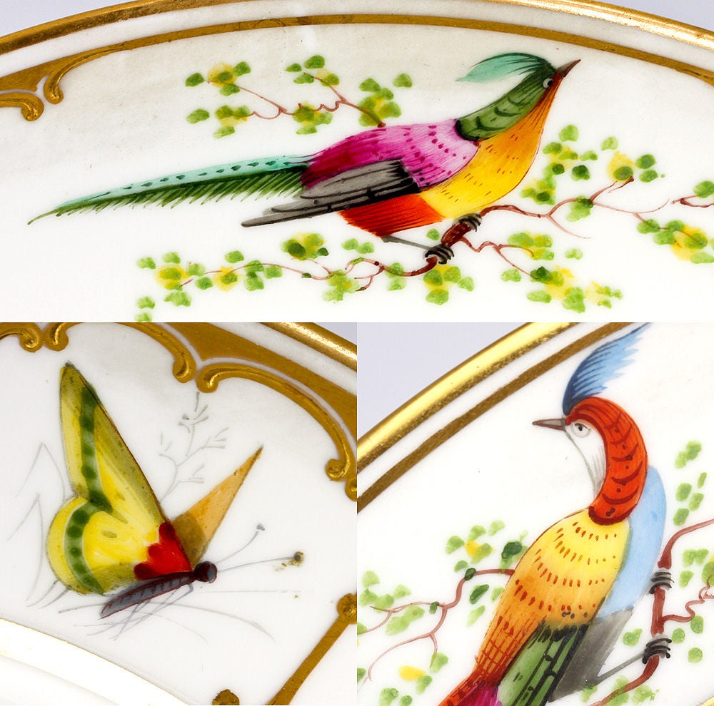 Antique Raised Gold Dresden Dinner Plate Set: 10, Exotic Birds 2