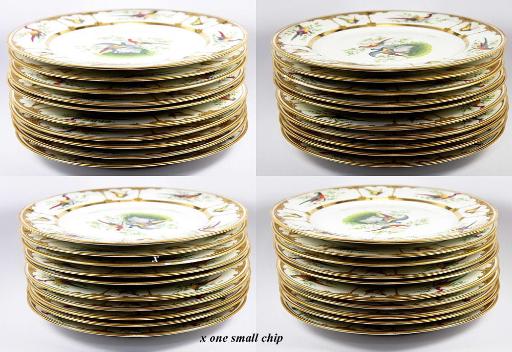 Antique Raised Gold Dresden Dinner Plate Set: 10, Exotic Birds 3