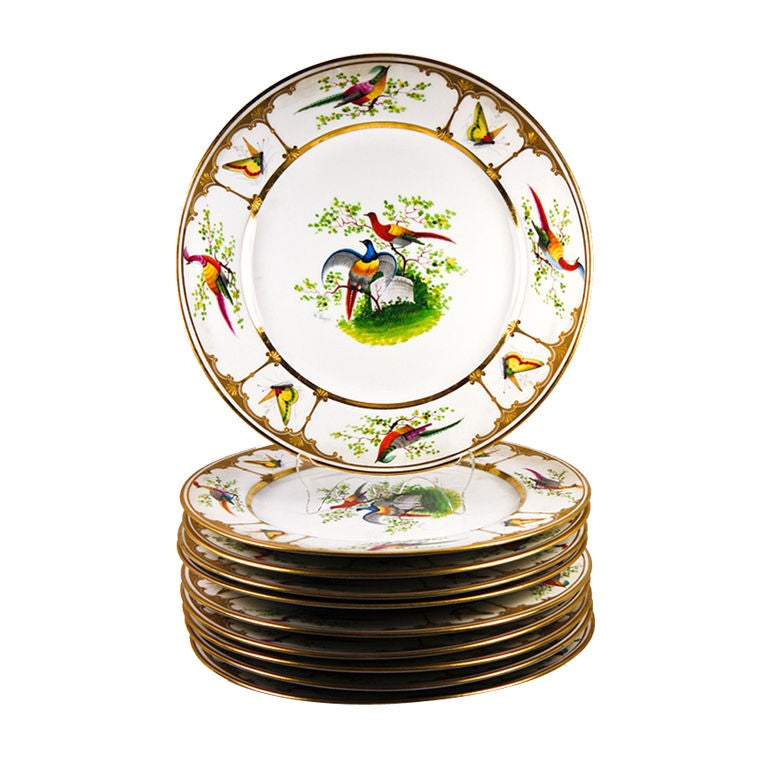 Antique Raised Gold Dresden Dinner Plate Set: 10, Exotic Birds