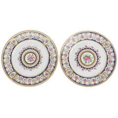 Pair Of Plates From Sevres Porcelain Manufacture, 19th Century 9