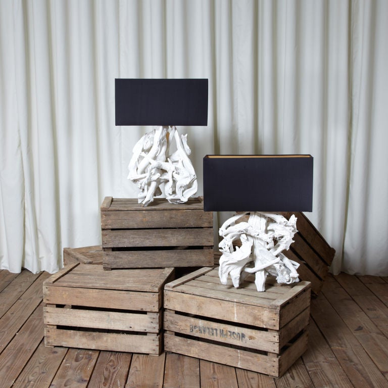 Pair of Fabulous White Driftwood Lamps