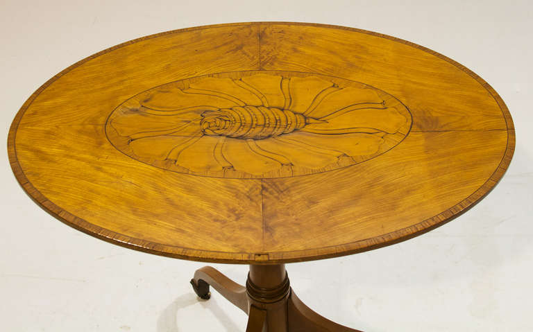 A Sheraton style maple and satinwood tilt top candlestand. Oval top, turned central shaft with reeded and ring turnings, tripod spider legs, tilt mechanism under the center.