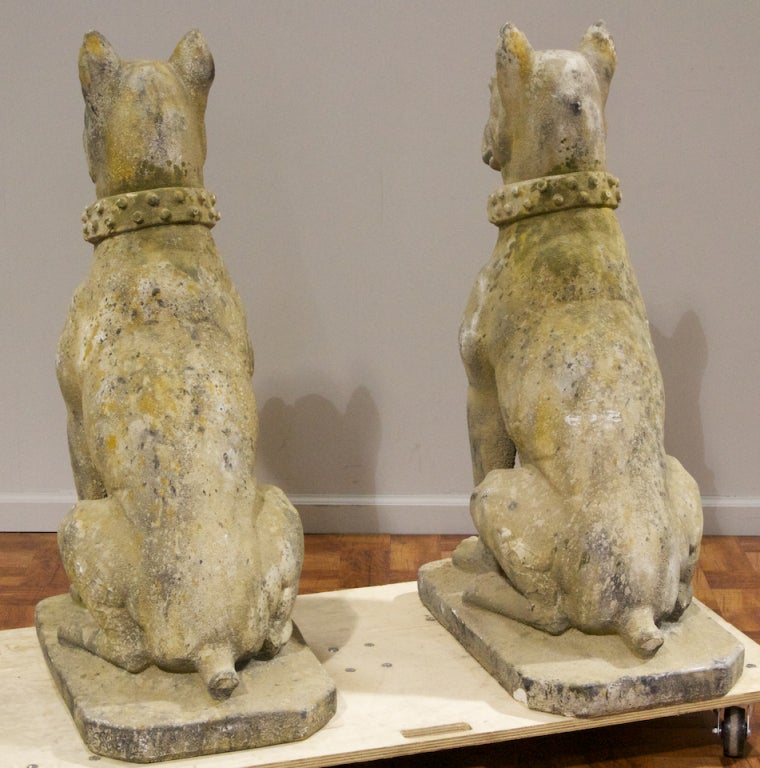 Pair of Cast Stone Dog Statuary 2