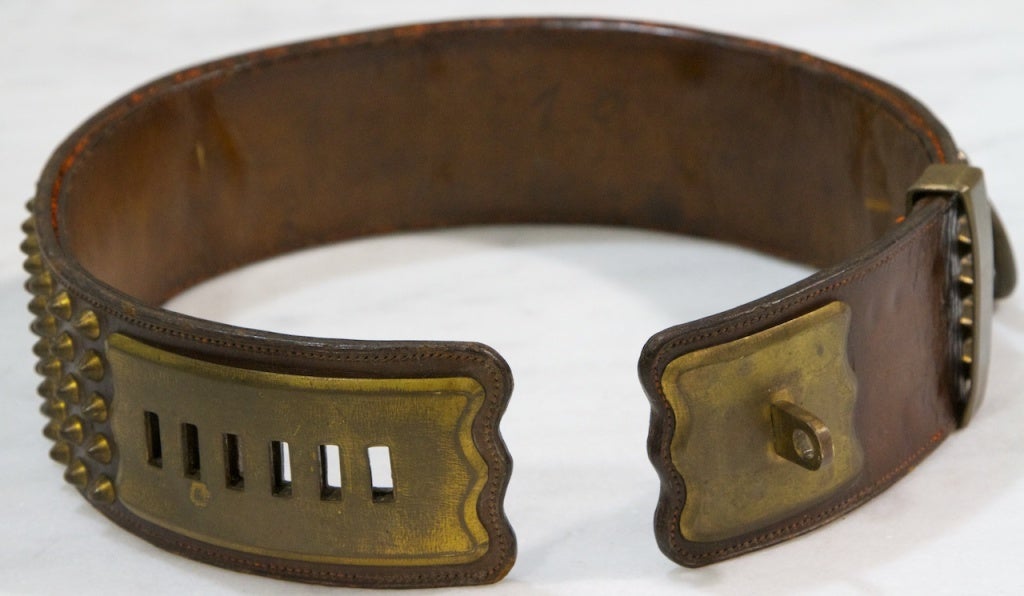 hermes dog collar