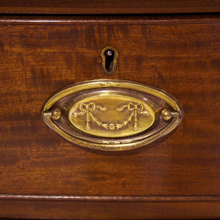 19th Century English Bow-Front Chest