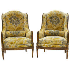 19th Century Pair of Louis XVI Style Chairs