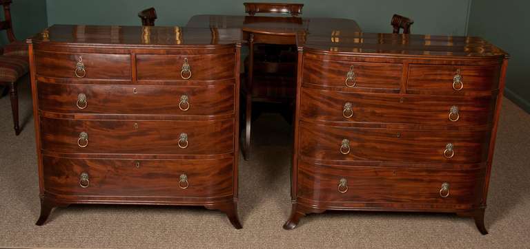 A pair of English mahogany two over three drawer D-front chests with lion head pulls. 