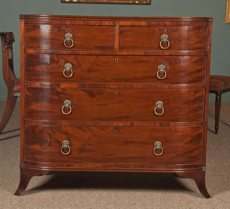 19th Century Pair Of D-Front Chest 