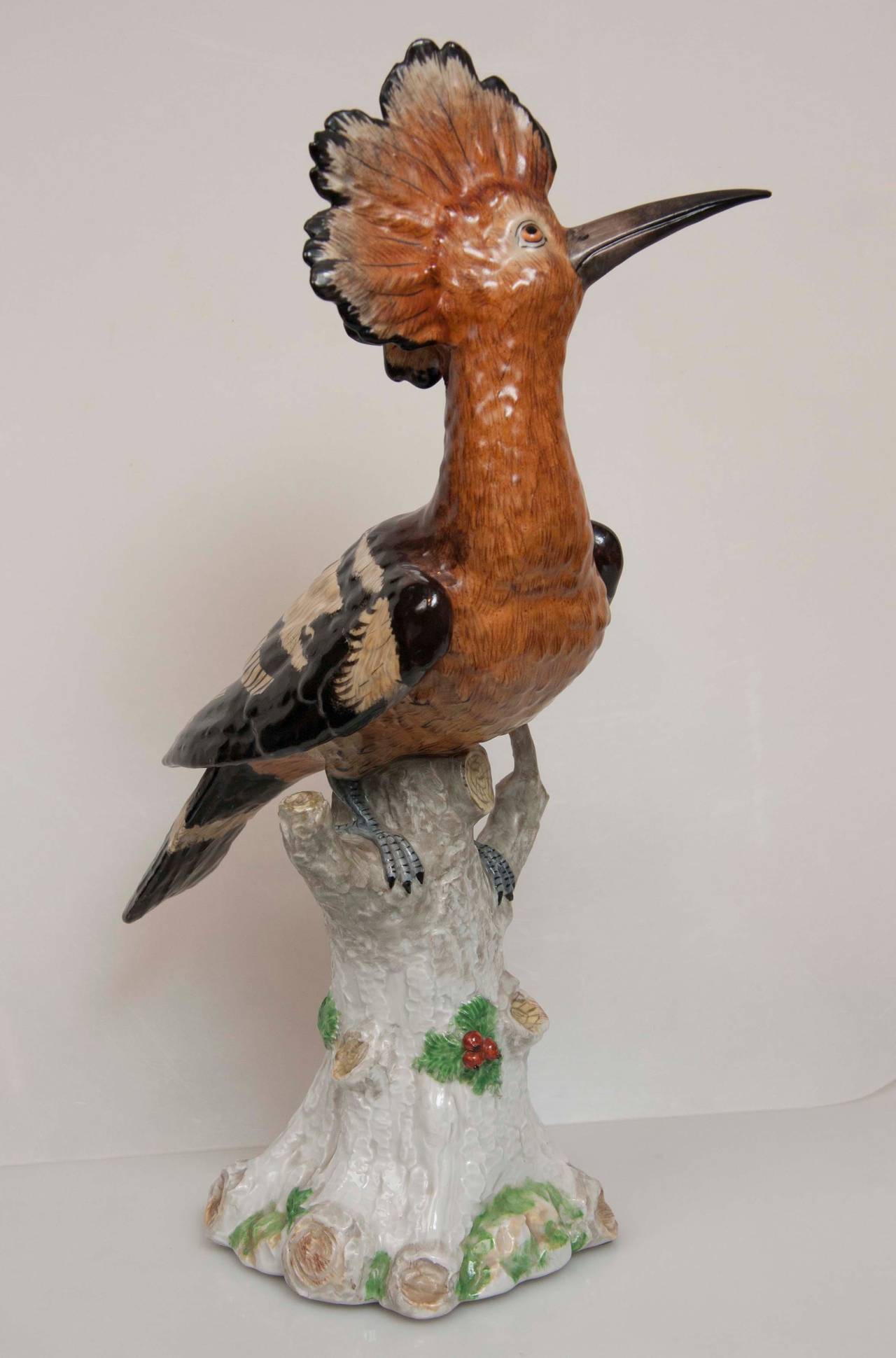 hoopoe for sale