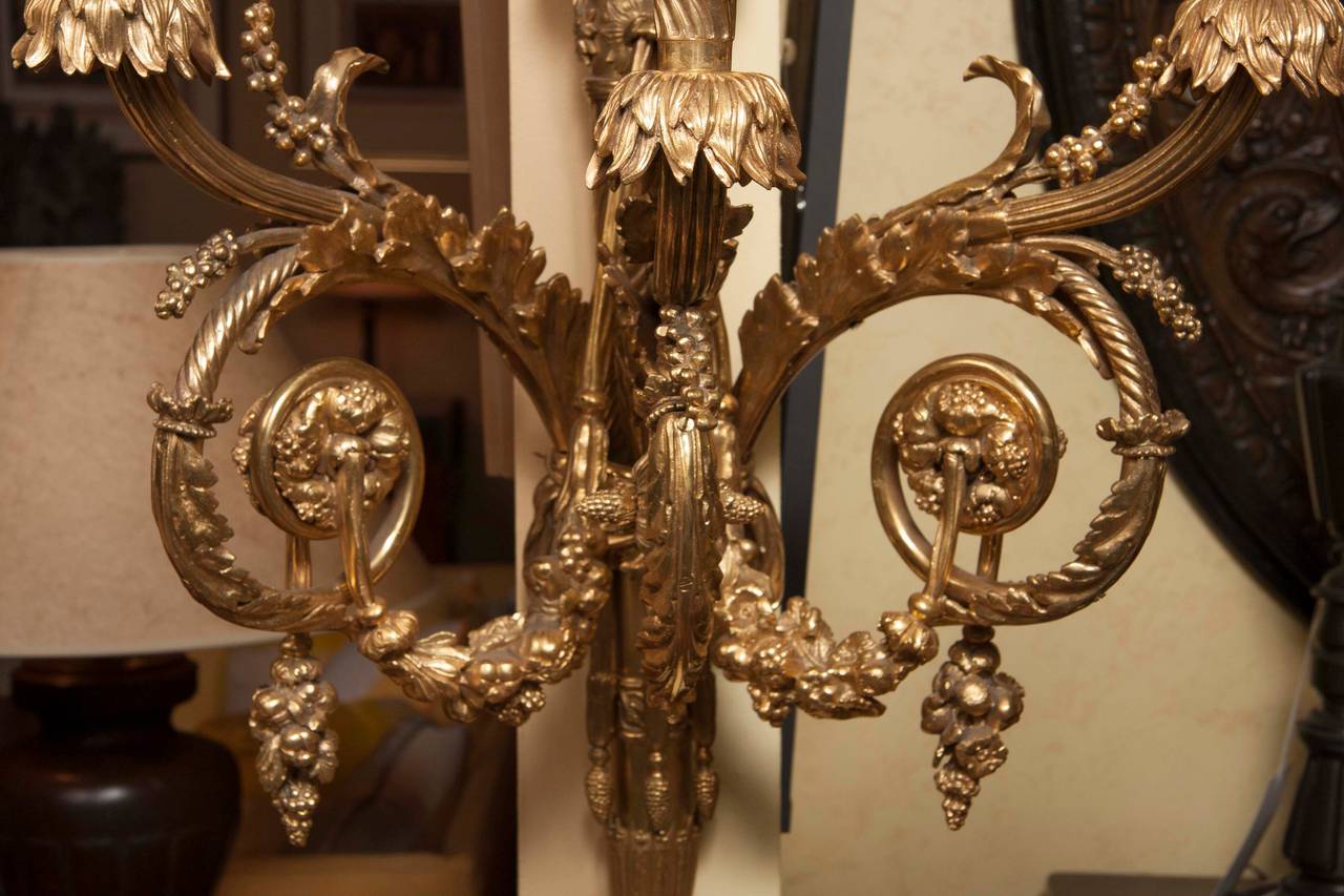 A monumental pair of four French ormolu 3 light wall sconces.