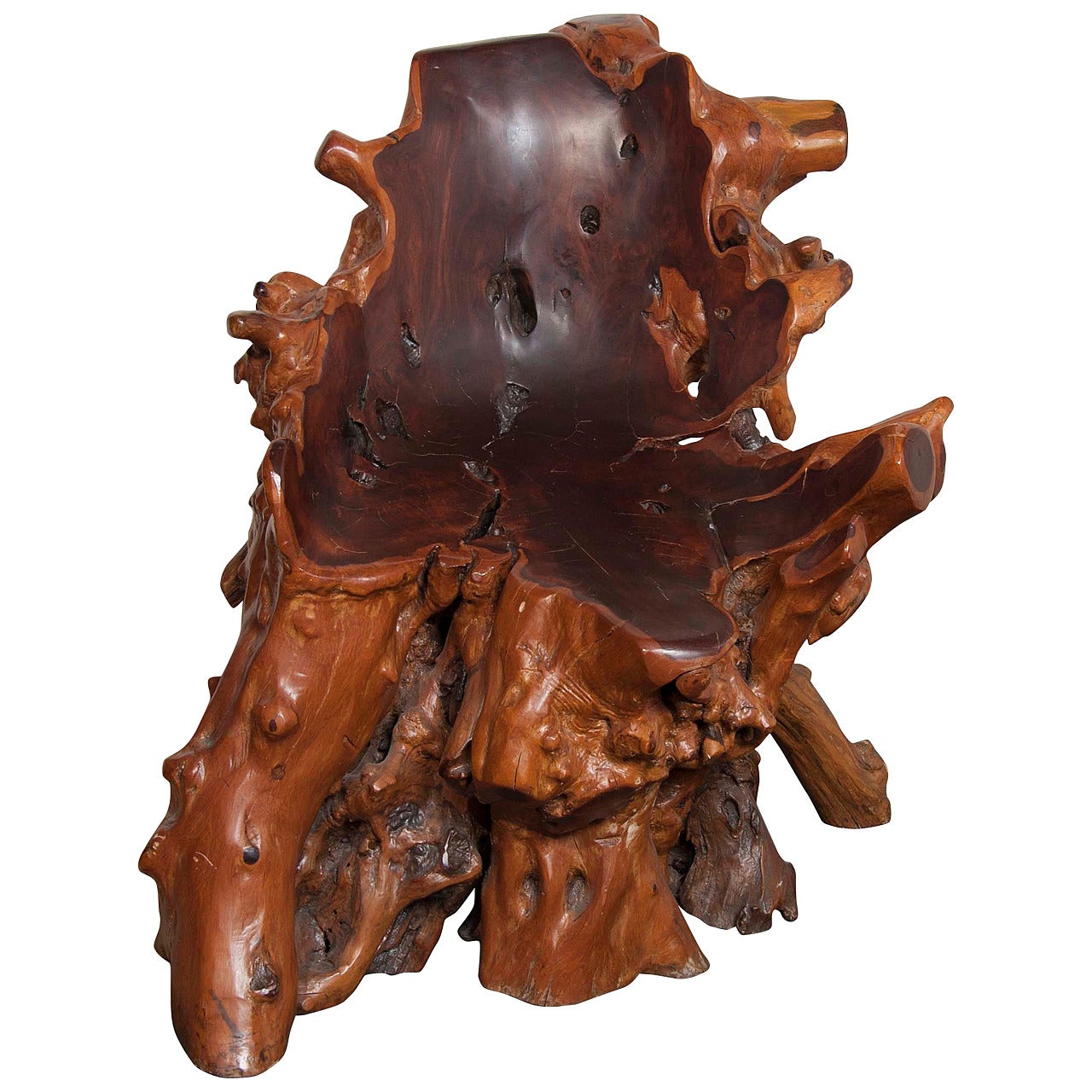 Asian Burled Wood or Root Chair