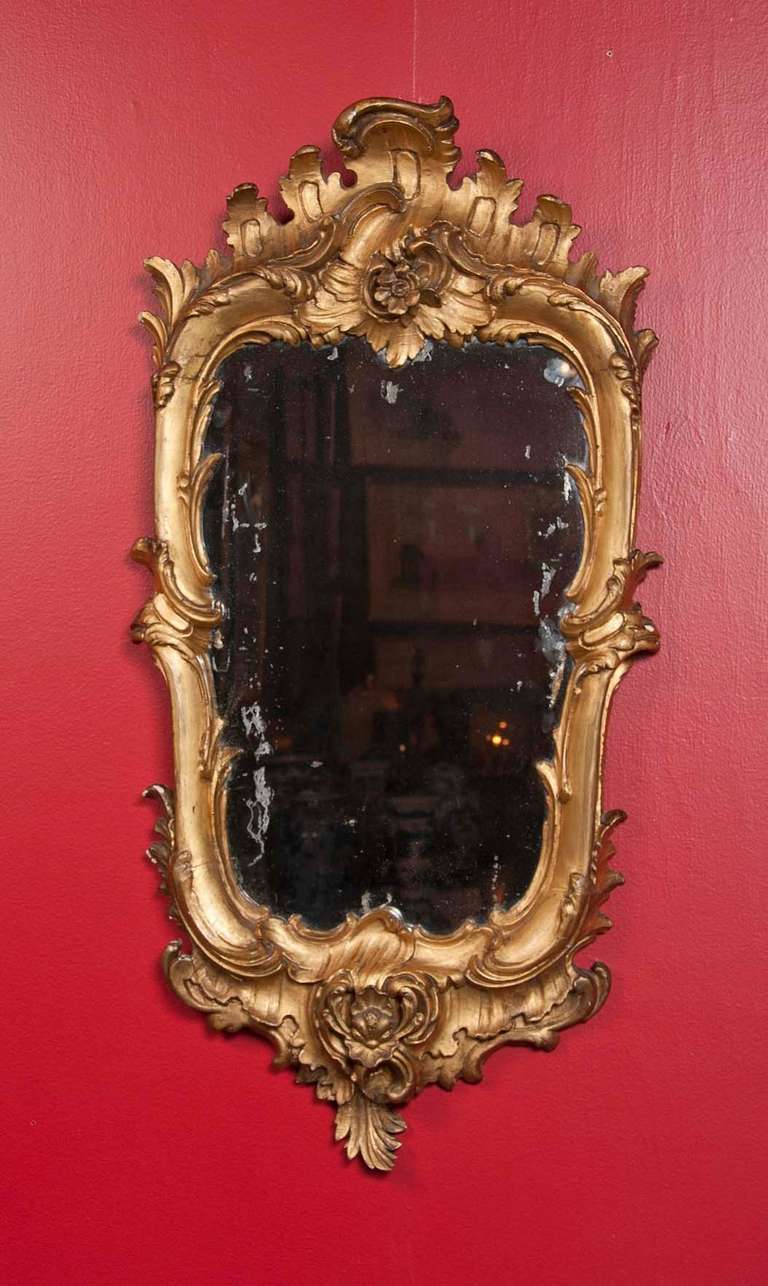 A pair of fine quality carved and gilt Florentine mirrors with original its glass. Solid carved back with hand cut nails.