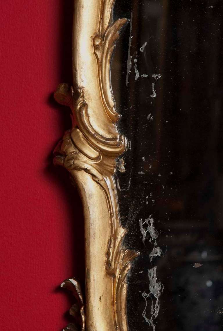 18th Century and Earlier Pair of Gilt Florentine Mirrors For Sale