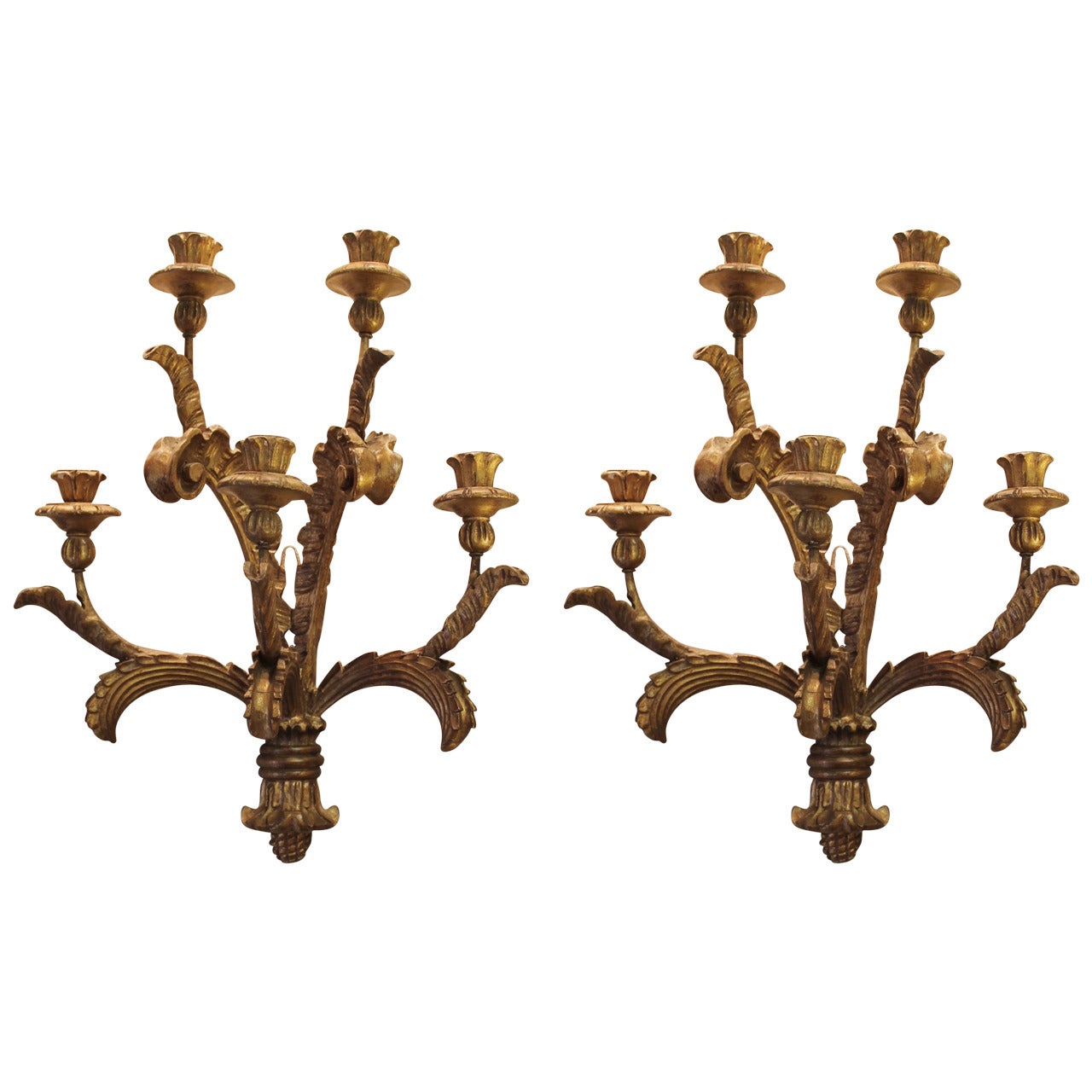 Pair of Large Italian Carved Gilt Candle Sconces
