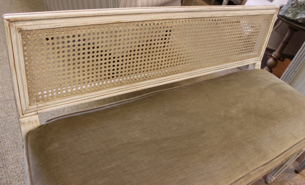 20th Century Mid C French Style Cane Back Bench