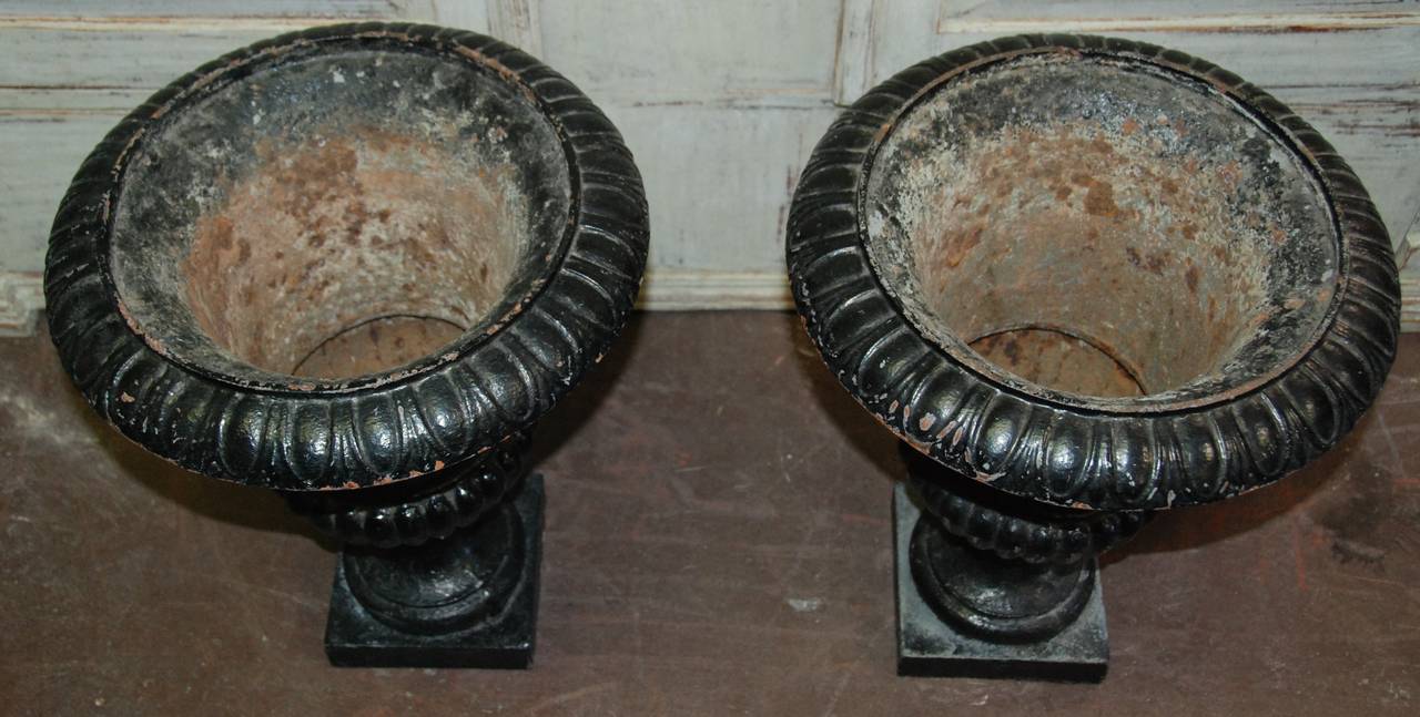 Pair of French Iron Jardinière For Sale 4