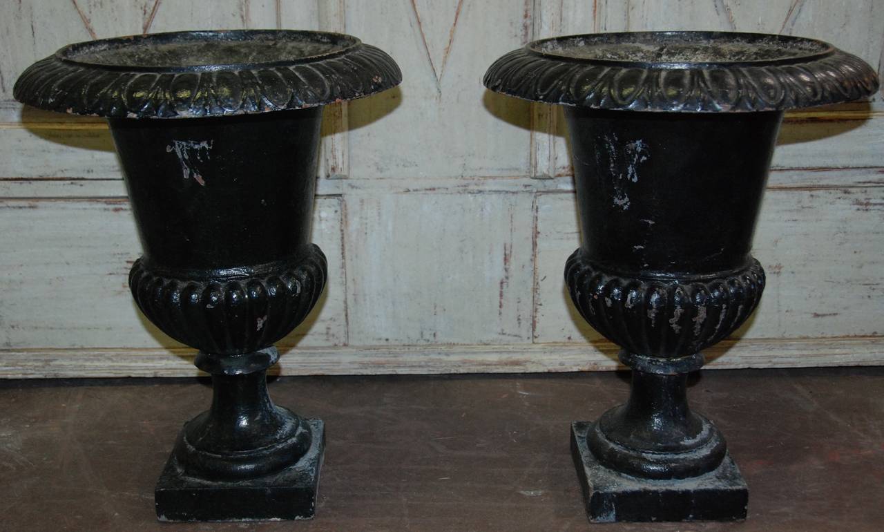 Pair of French Iron Jardinière For Sale 2