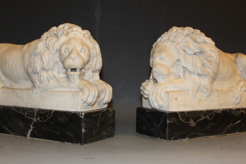 19th Century Pair Of Carved Carrera Marble Lions, Italian Grand Tour