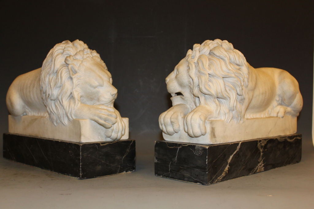 A magnificent pair of Antique carved Carrera Marble figures of Lions resting, raised on black vained marble plinths