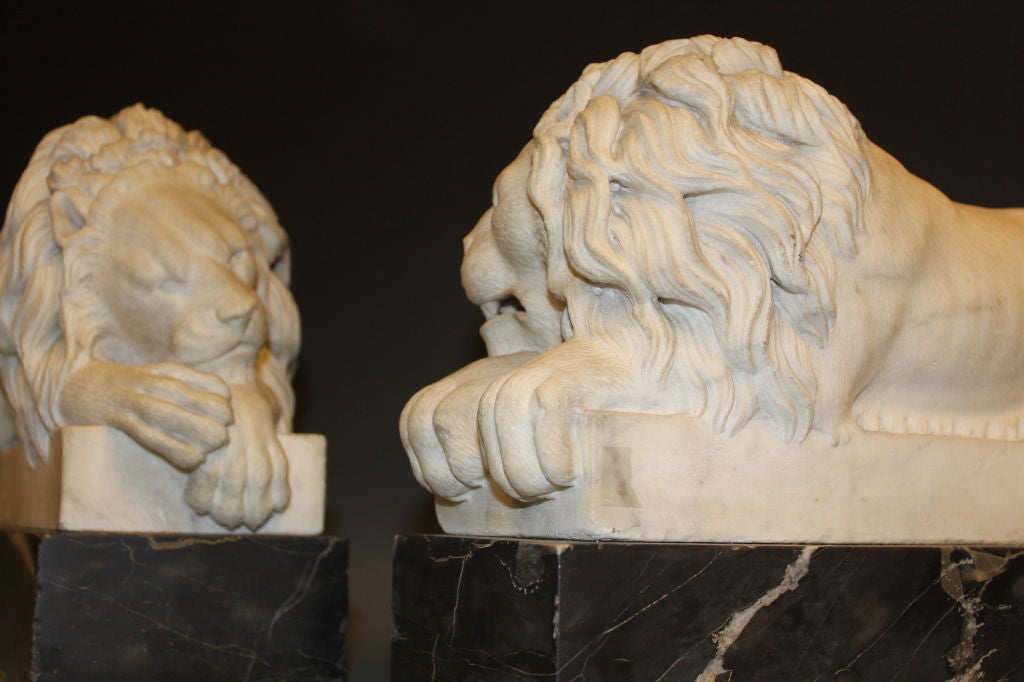 Pair Of Carved Carrera Marble Lions, Italian Grand Tour 1