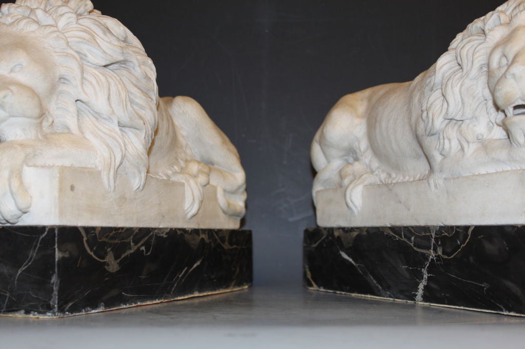 Pair Of Carved Carrera Marble Lions, Italian Grand Tour 3