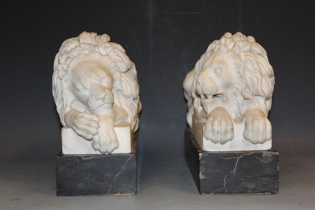 Pair Of Carved Carrera Marble Lions, Italian Grand Tour 5