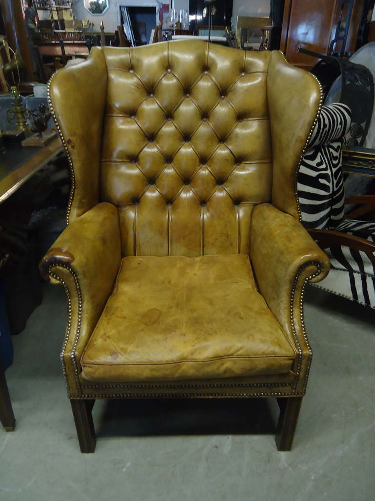 Gentlemanly, right off a country estate, a much loved favorite leather wing chair with age appropriate stains and distress, tufted back, nailheads and mahogany legs.