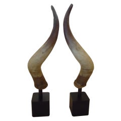 Pair of Handsome Horns on Custom Iron Cubes