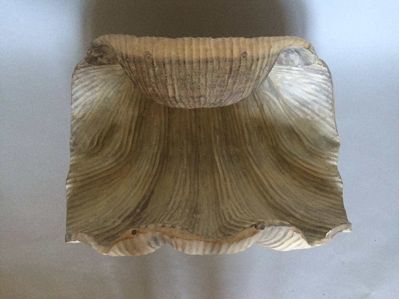 clam shell table