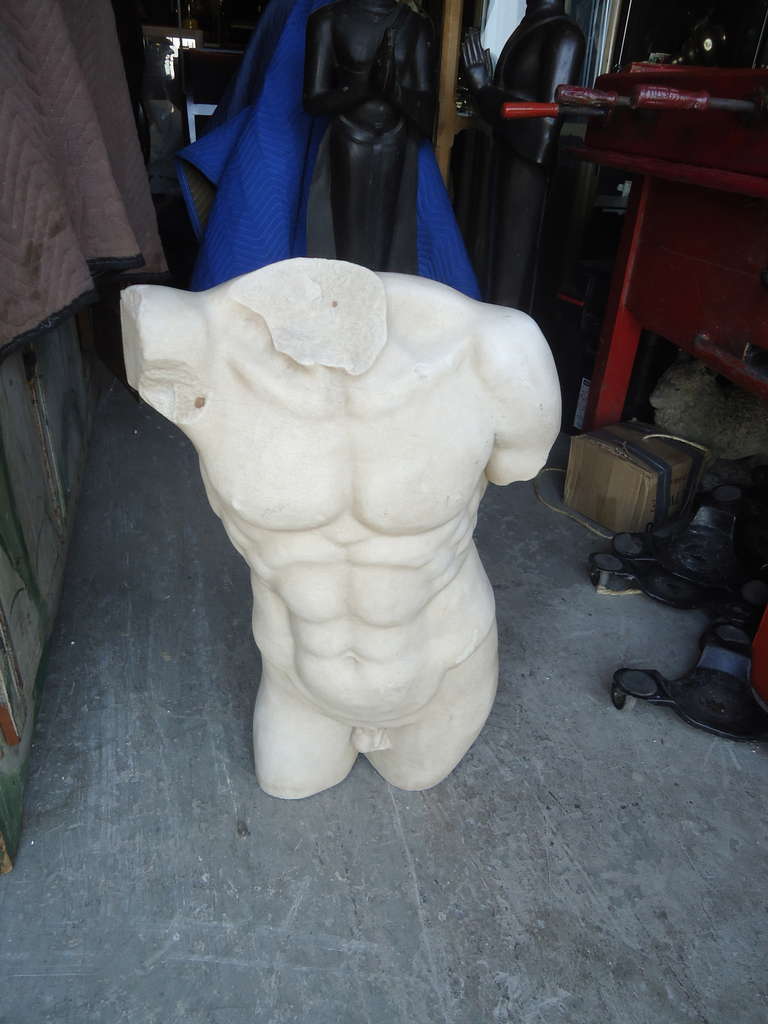 Carved Magnificent Marble Male Torso