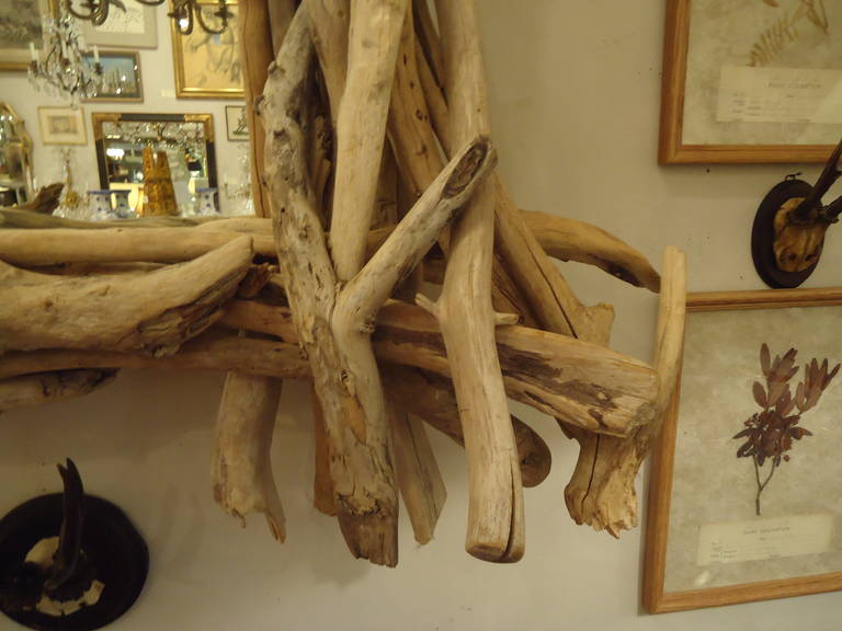 Supremely Sculptural Driftwood Mirror In Excellent Condition In Hopewell, NJ