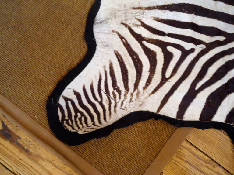 Striking Vintage Zebra Rug at 1stdibs