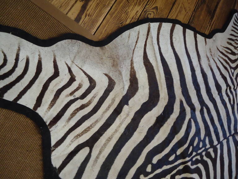 Striking Vintage Zebra Rug at 1stdibs