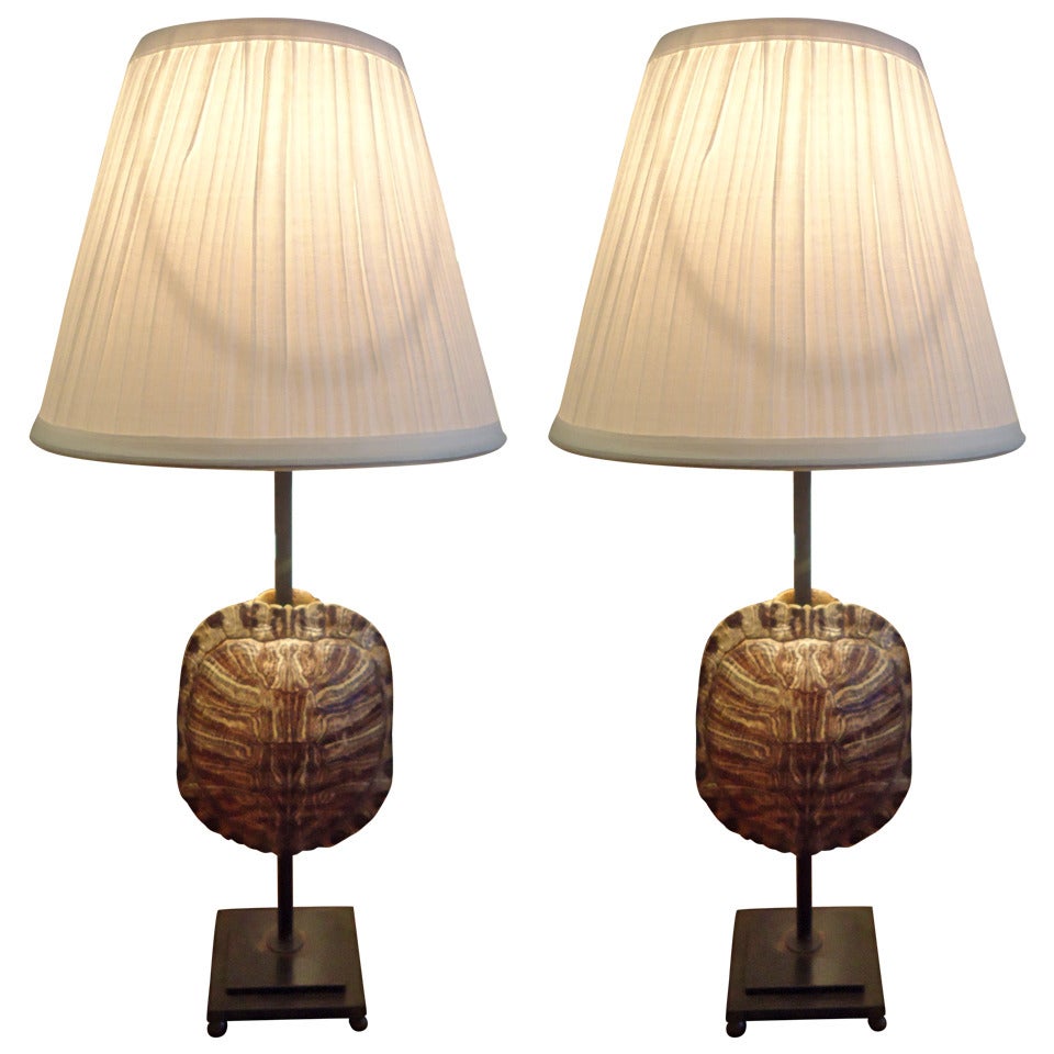 Pair of Chic Custom Turtle Shell Lamps