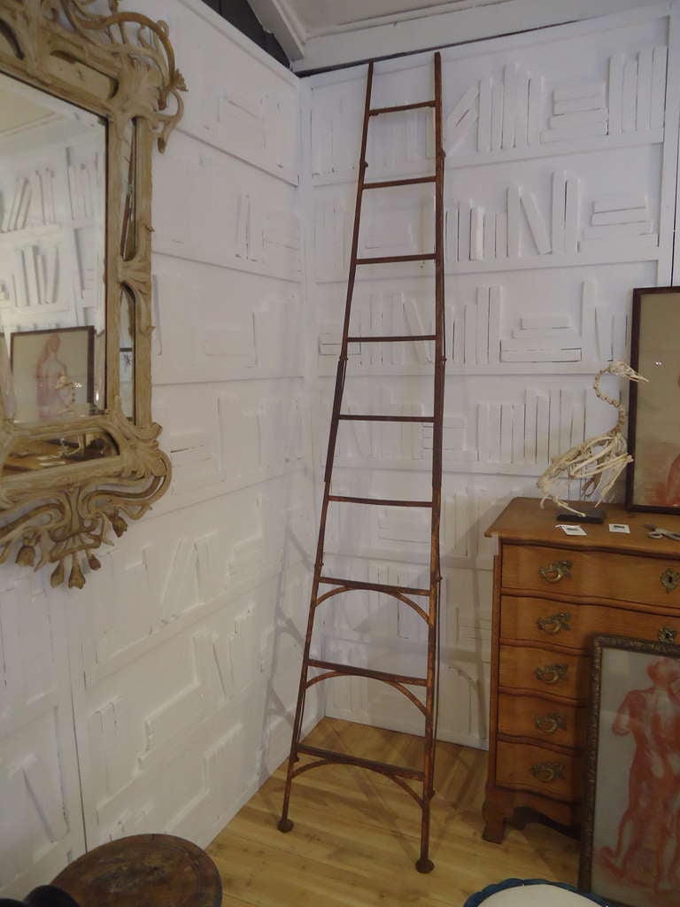 Very Old Patinated Library Ladder