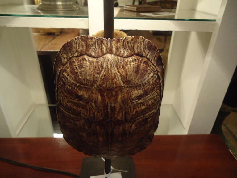 American Pair of Chic Custom Turtle Shell Lamps