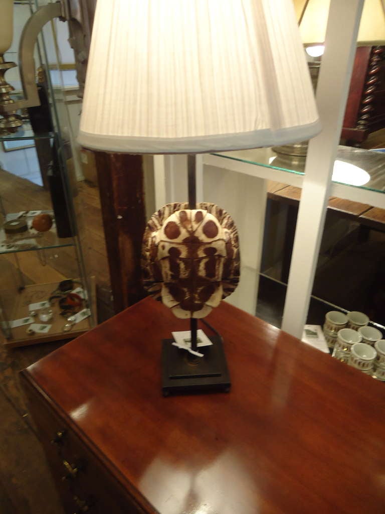 Pair of Chic Custom Turtle Shell Lamps In Excellent Condition In Hopewell, NJ